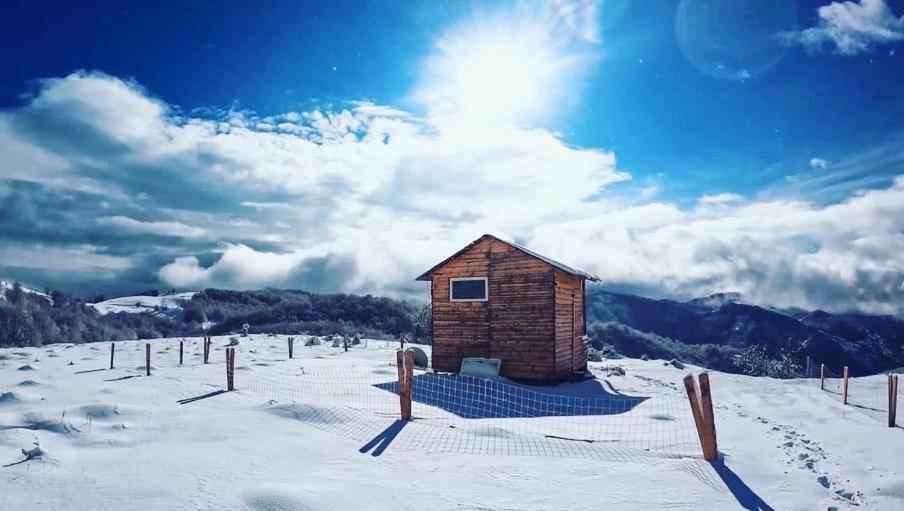 Hotel Camping Shengjergj Tirana Exteriér fotografie