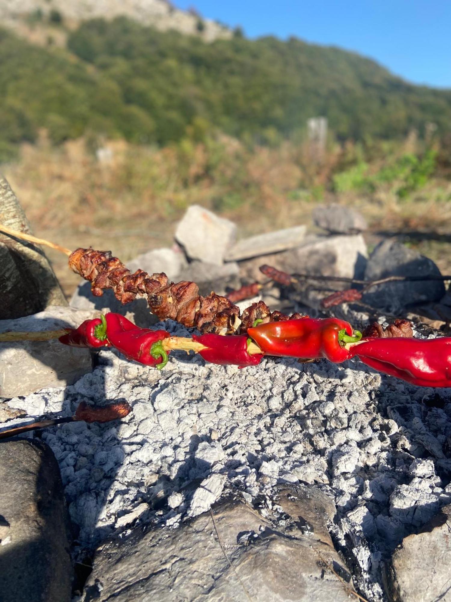 Hotel Camping Shengjergj Tirana Exteriér fotografie